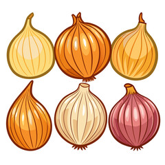 Obraz premium A colorful illustration showcasing six different onion varieties including yellow white red and brown arranged in a grid pattern against a clean white background Cartoon