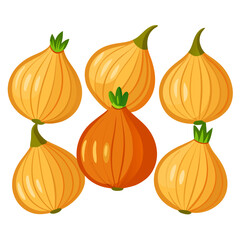 A vibrant illustration showcases six golden onions artfully arranged on a clean white background with one onion displaying a deeper orange hue creating a visually
