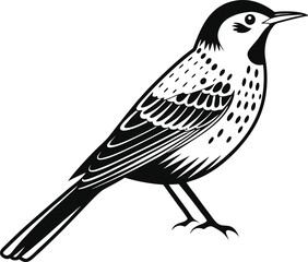 bird on a branch vector