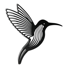   black humming bird vector