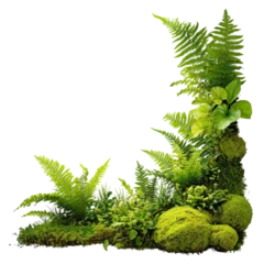 corner foliage frame made of realistic ferns and moss isolated on transparent background © Imam Lutfi