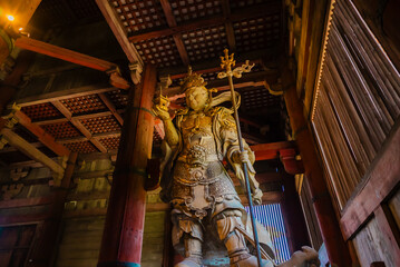 The view of sightseeing near temple in Nara, Japan