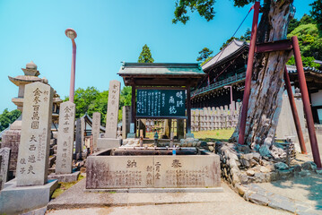 The view of sightseeing near temple in Nara, Japan