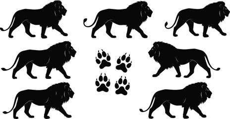 Lion silhouette vector collection, walking lion poses, black lion graphics with paw prints, jungle predator animal design for print and digital