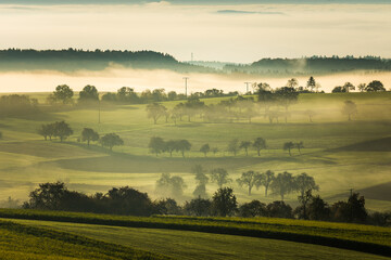 Obraz premium A tranquil autumn morning in the Hegau, Baden-Wuerttemberg, Germany. Rolling green hills and scattered trees are gently shrouded in mist, creating a calm, atmospheric landscape beneath a cloudy sky.