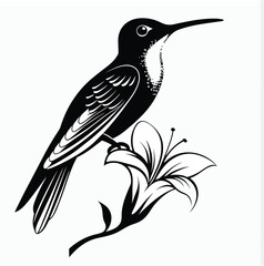 humming bird and flower on white background