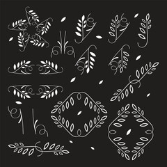 Summer palm leaf vector green plant, exotic nature set isolated on white background. Jungle illustration