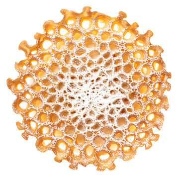 Circular Lace Doily with Intricate Patterns and Openwork Design