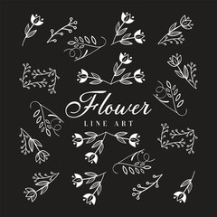 Flowers and Leaves Design Elements