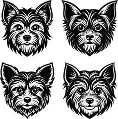 Dog Face ,A portrait of a Scottish Terrier

 