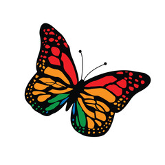 Elegant butterfly illustration with vibrant color palette and classic typography
