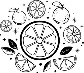 Vector art of vibrant orange slices and whole fruits with decorative elements