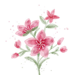 Watercolor bouquet of pink flowers