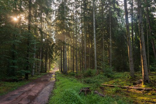 Ch&acirc;teau du Falkenstein in France