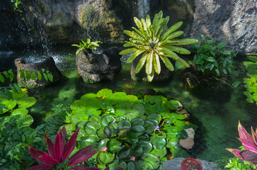Lush Pond with Water Lilies and Tropical Plants Under Waterfall