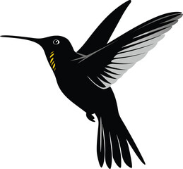 Obraz premium vector of black silhouette of humming bird
