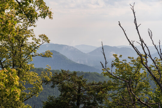 Ch&acirc;teau du Falkenstein in France