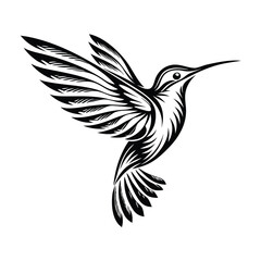 3d humming bird art silhouette white background