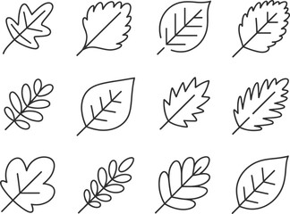 Twelve various leaves, simple line art leaf shapes with transparent background pattern