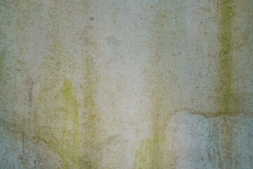 background of fungus on the wall. Green moss and rain stains on cement wall. Dirty fungus and mold...