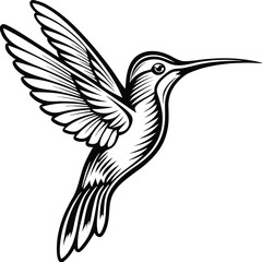 Obraz premium humming bird vector art silhouette