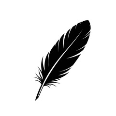 A single black feather isolated on a plain white background, showcasing its delicate structure and texture