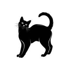 Obraz premium A black cat standing alert on a white background