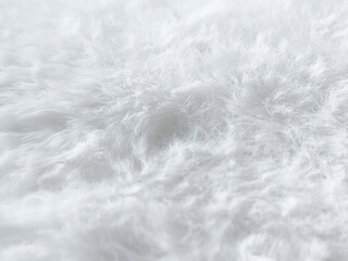 White fluffy fur close-up. Fluffy soft fabric. Space for the text. Background.