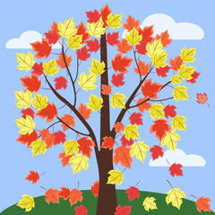 Landscape. Autumn maple tree against the sky, close-up. Vector illustration.