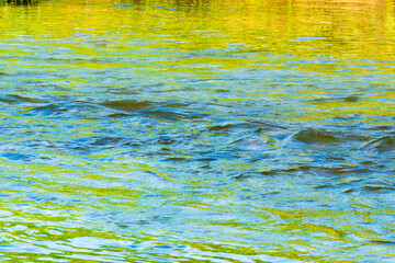 夏の川　川の流れ水面の表情02