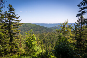 Nationalpark Schwarzwald, Black Forest National Park, Germany