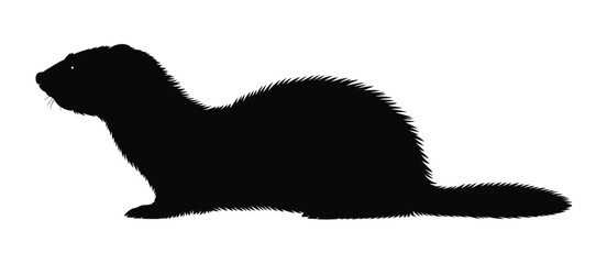 Silhouette of a playful ferret sitting on a white background