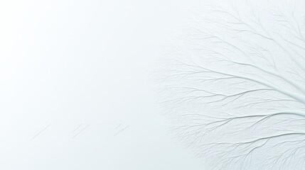 Obraz premium Artificial Neural System Minimalist white winter scene with delicate snow branches and subtle textures AI intellectual growth visualization