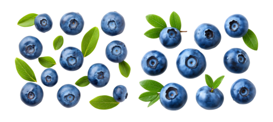 Collection of blueberry fruits with leaves and branch isolated on a transparent background