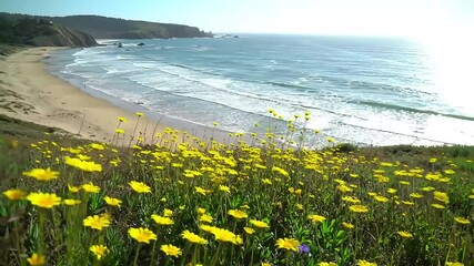 Coastal wildflowers bloom; ocean waves crash on sandy beach; cliffs in background; travel, nature scene