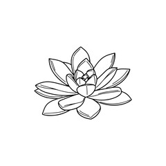 black and white line drawing of a succulent or flowering plant with intricate, overlapping petals or leaves. The overall shape resembles a rosette or spiral pattern, creating a visually striking and g