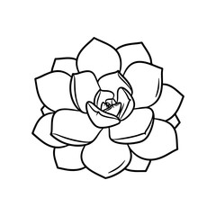 black and white line drawing of a succulent or flowering plant with intricate, overlapping petals or leaves. The overall shape resembles a rosette or spiral pattern, creating a visually striking and g