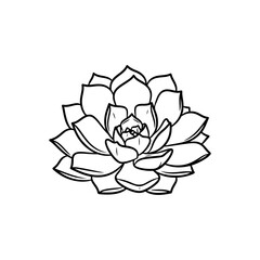 black and white line drawing of a succulent or flowering plant with intricate, overlapping petals or leaves. The overall shape resembles a rosette or spiral pattern, creating a visually striking and g