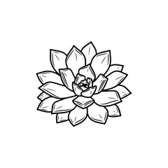 black and white line drawing of a succulent or flowering plant with intricate, overlapping petals or leaves. The overall shape resembles a rosette or spiral pattern, creating a visually striking and g