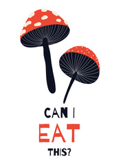 Can I eat this Vector card with stylized fly agarics and funny quote. Drawn amanita mushrooms in naive style with lettering