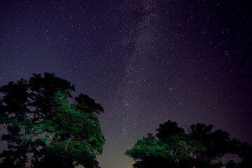 Milky Way galaxy in starry night sky above trees at summer