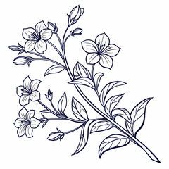 abstract floral background with anagallis monelli