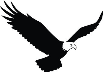 Bald Eagle in Flight Silhouette with Wings Spread Wide on a Clean White Background