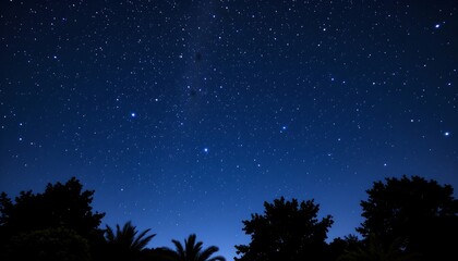 Fototapeta premium Serene Night Sky with Silhouetted Trees and Stars
