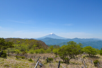 大蔵高丸から見る富士山