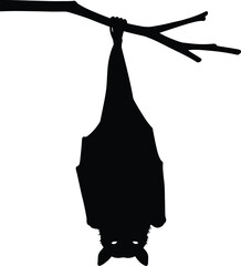 Black Silhouette of Bat Hanging Upside Down from a Branch on a White Background