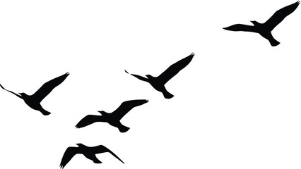 Silhouette of Birds Flying in Formation Against a White Background Minimalist and Clean Aesthetic