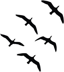 Silhouette of Birds Flying in Formation on a White Background Minimalist and Clean