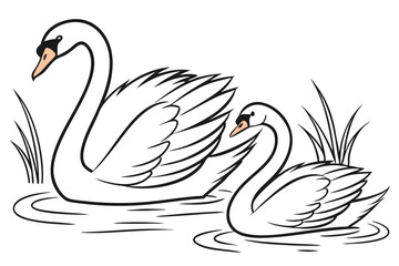 Graceful Swans in Serene Waters A Black and White Drawing of Two Elegant Birds with Reeds