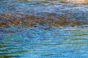 夏の川　川の流れ水面の表情17